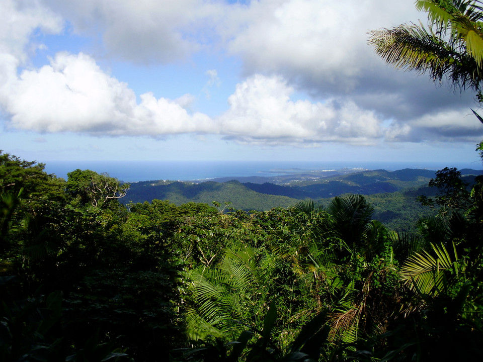 Greetings from Puerto Rico!
