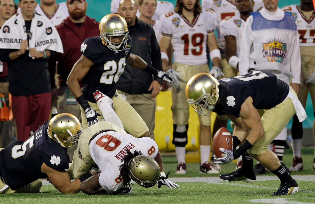 Irish Falter Down the Stretch, Lose to No. 25 FSU 18-14 (AP)