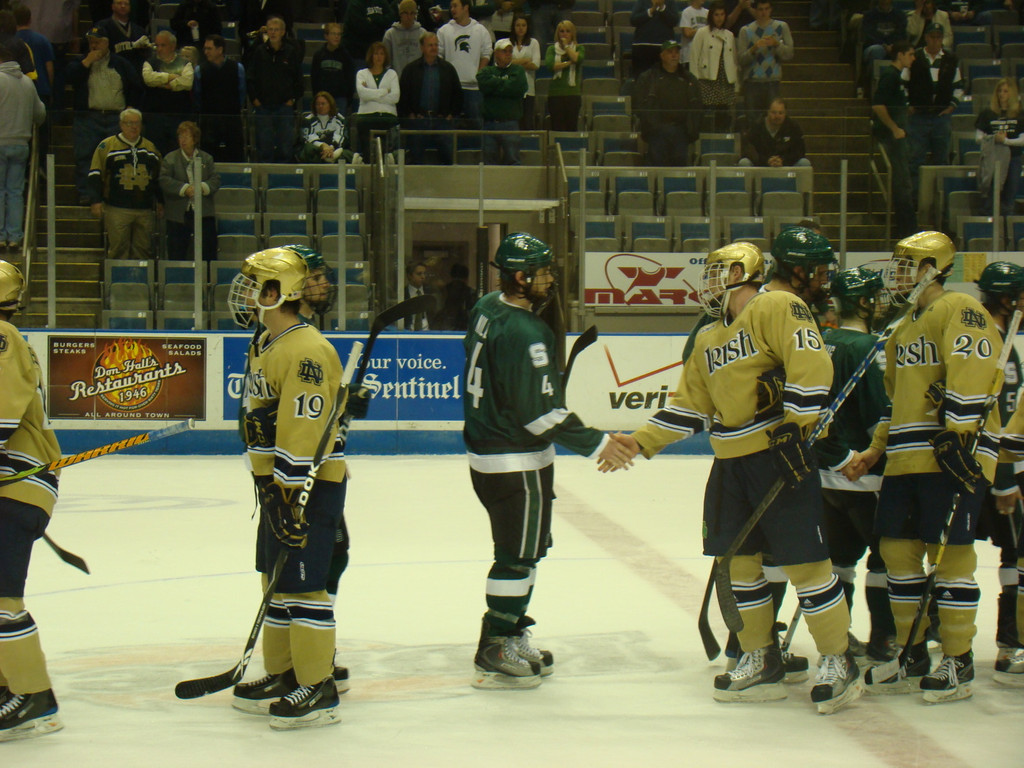 Hockey vs. MSU
