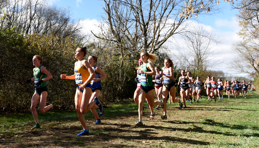 Notre Dame Fighting Irish - Official Athletics Website