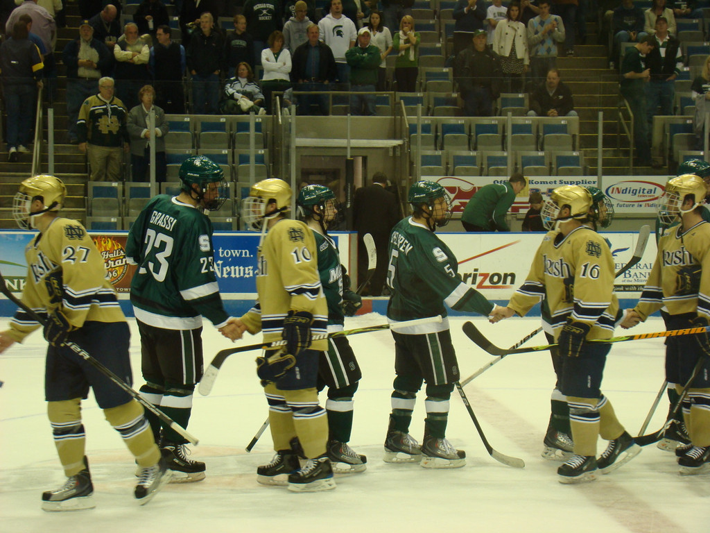 Hockey vs. MSU