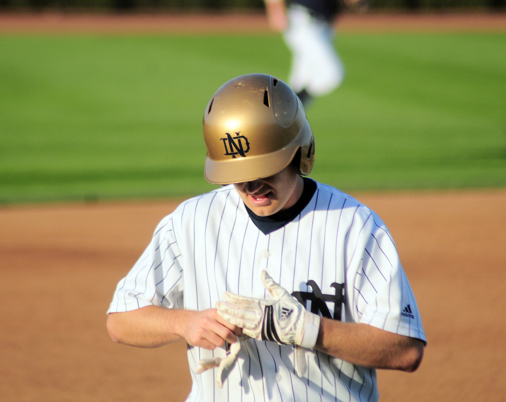 Irish Fall to Michigan