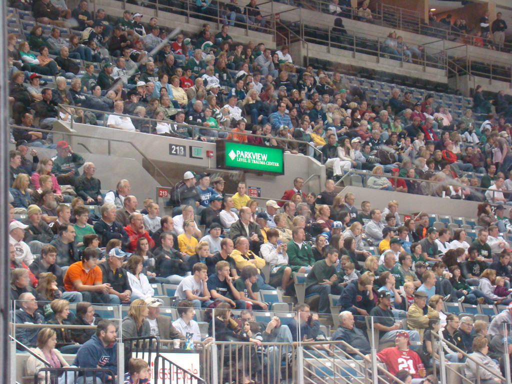Hockey vs. MSU