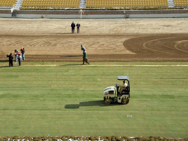 Notre Dame Stadium Turf Replacement