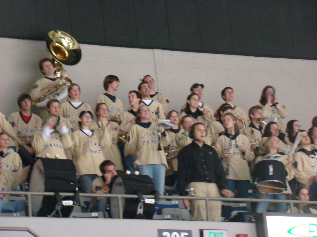 Hockey vs. MSU