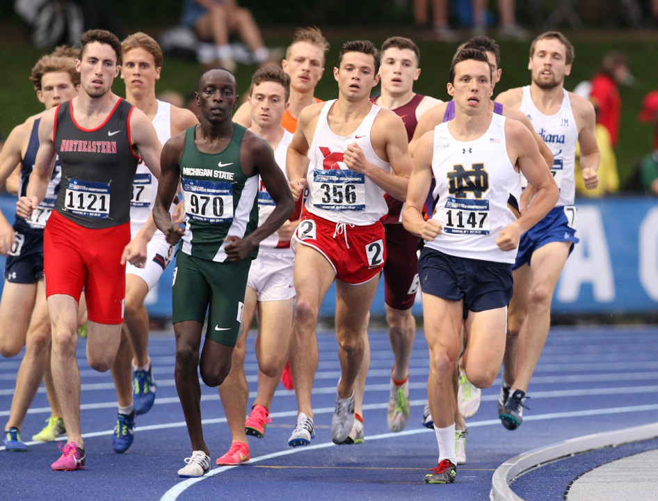 Notre Dame Fighting Irish - Official Athletics Website