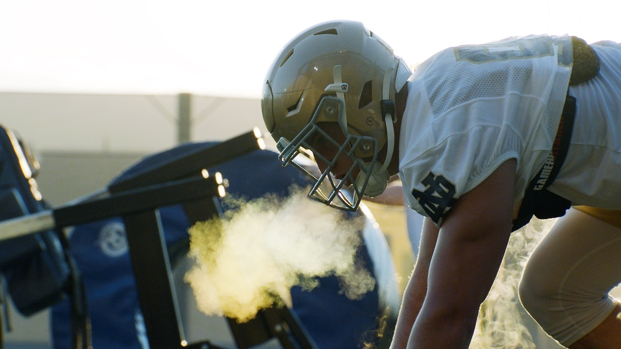 Notre Dame Fighting Irish - Official Athletics Website