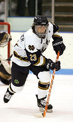 Mark Van Guilder's second-period power-play goal gave Notre Dame a 1-0 lead versus Miami.