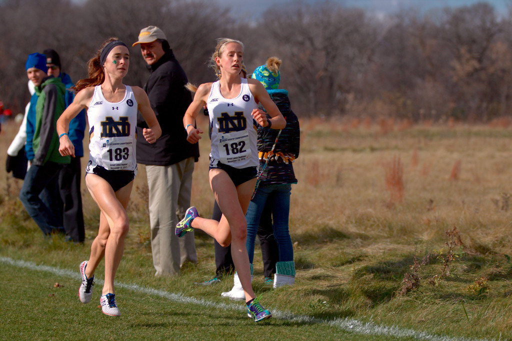 2015 NCAA Great Lakes Regional Championships