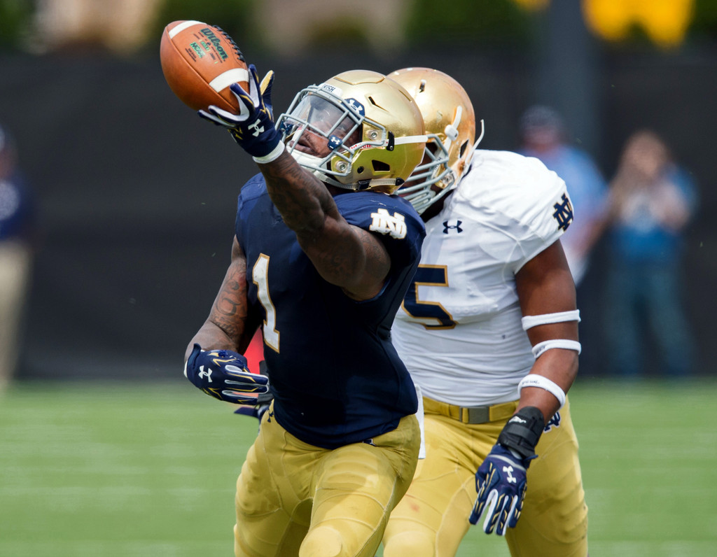 Blue-Gold Game