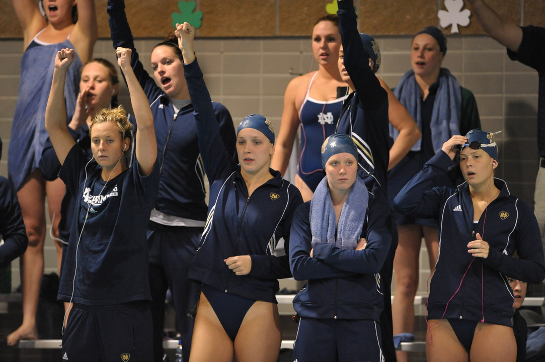 Once again, the irish are among the nation's top academic performing squads.