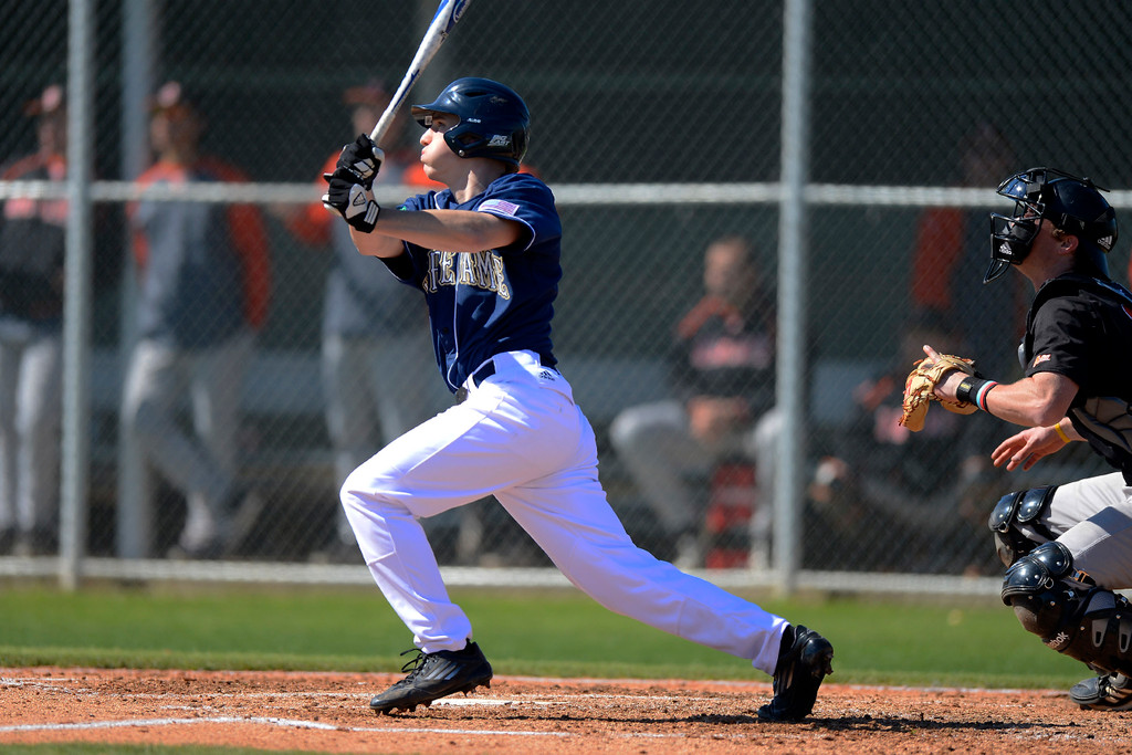 Baseball vs. Mercer