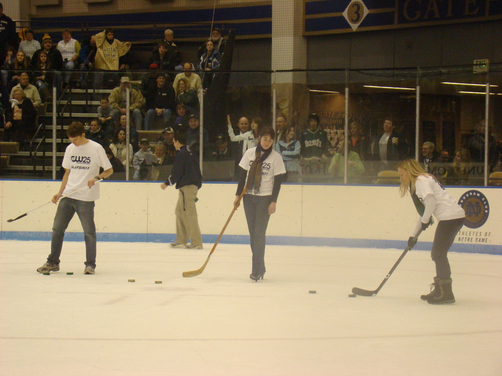 Hockey v. Ferris State