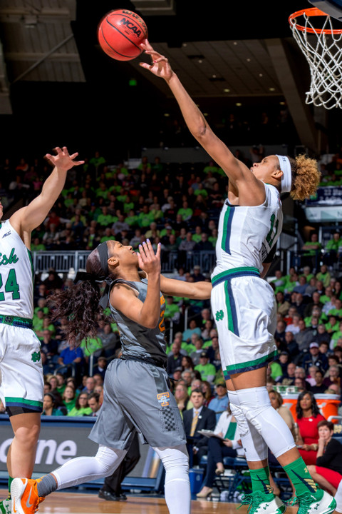Brianna Turner