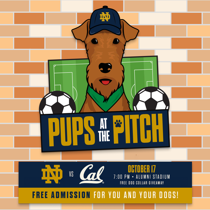 Notre Dame Fighting Irish - Official Athletics Website
