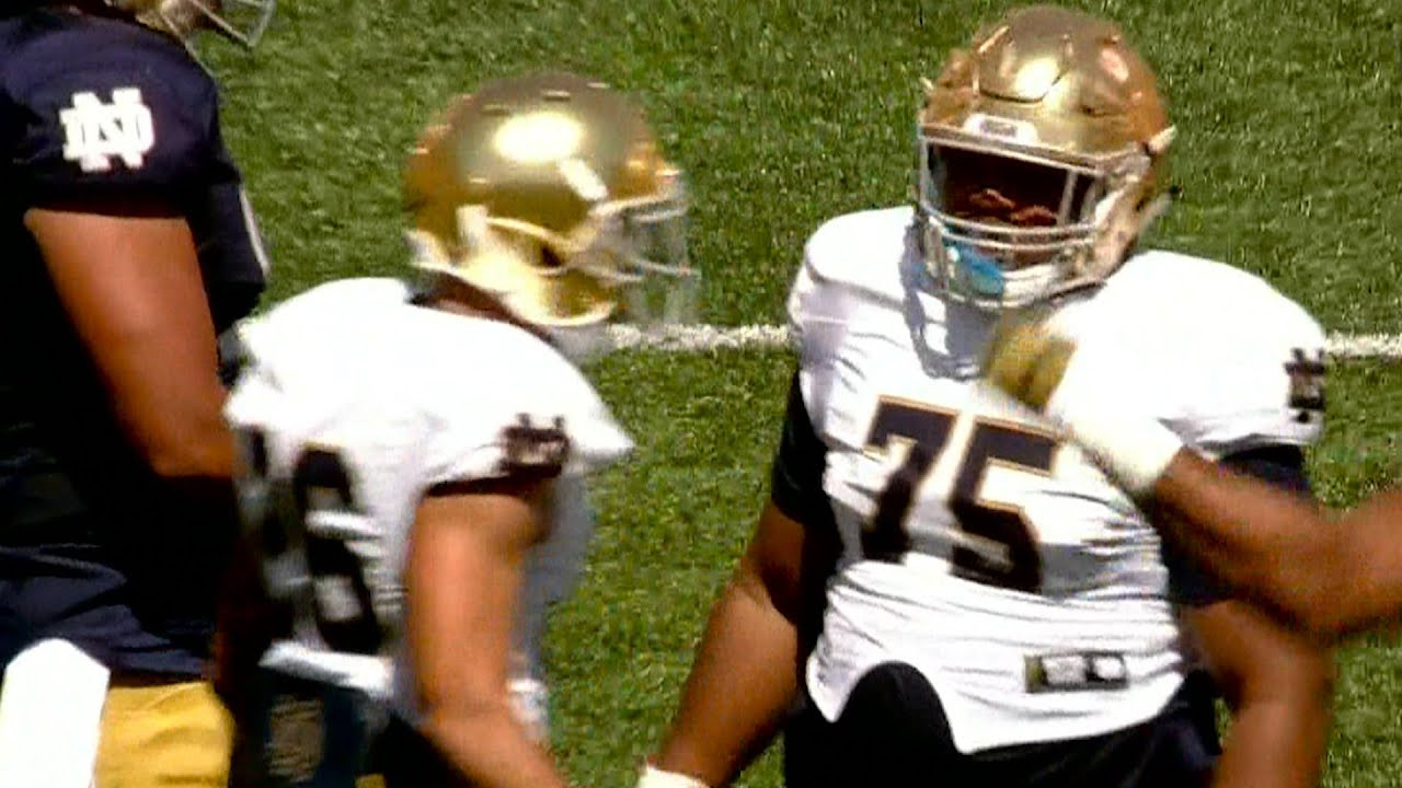 QUICK PLAYS - Daniel Cage Tackle