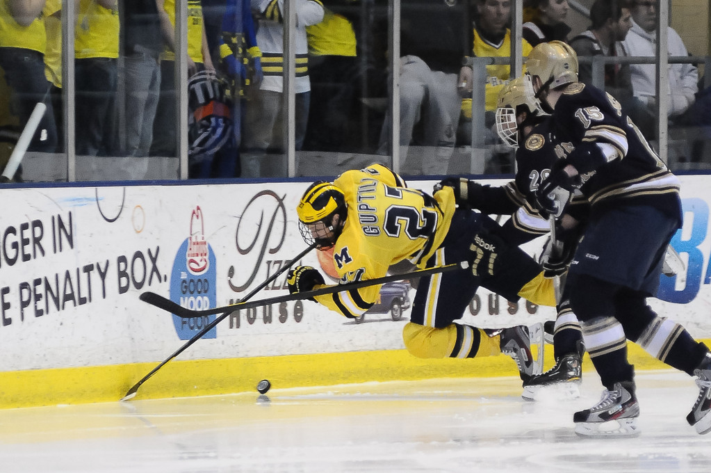 Notre Dame Ice Hockey  vs Michigan Game 2 (CCHA Quarterfinals) on March 10, 2012