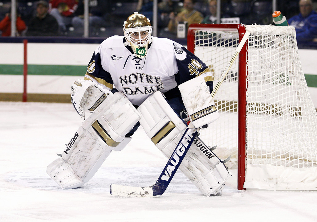 Cal Petersen stopped 78 out of 82 Terrier shots this weekend.