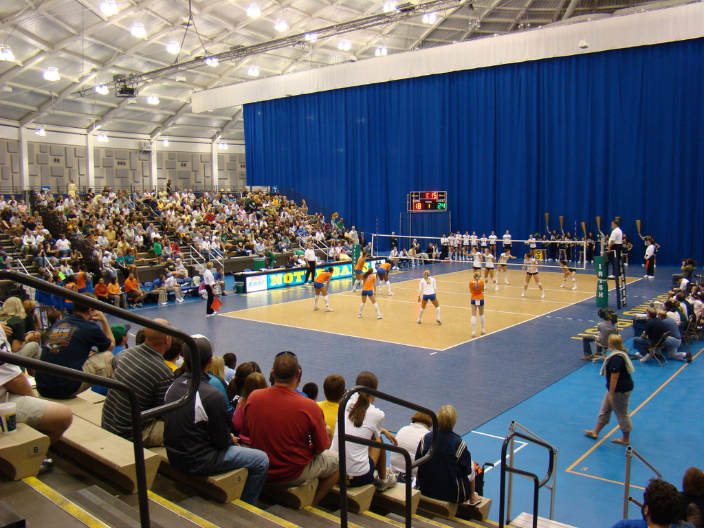 Volleyball vs. Minnesota & Florida, August 2007