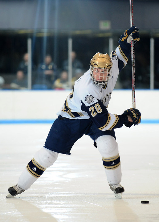 Sophomore defenseman Ian Cole was selected first team all-CCHA.  He becomes the third Notre Dame player to take first team honors along with David Brown (in 2006-07) and Benoit Cotnoir (1998-99).
