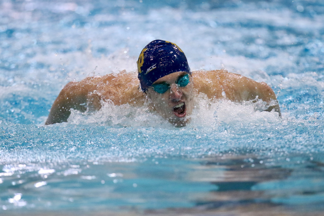 Notre Dame Fighting Irish - Official Athletics Website