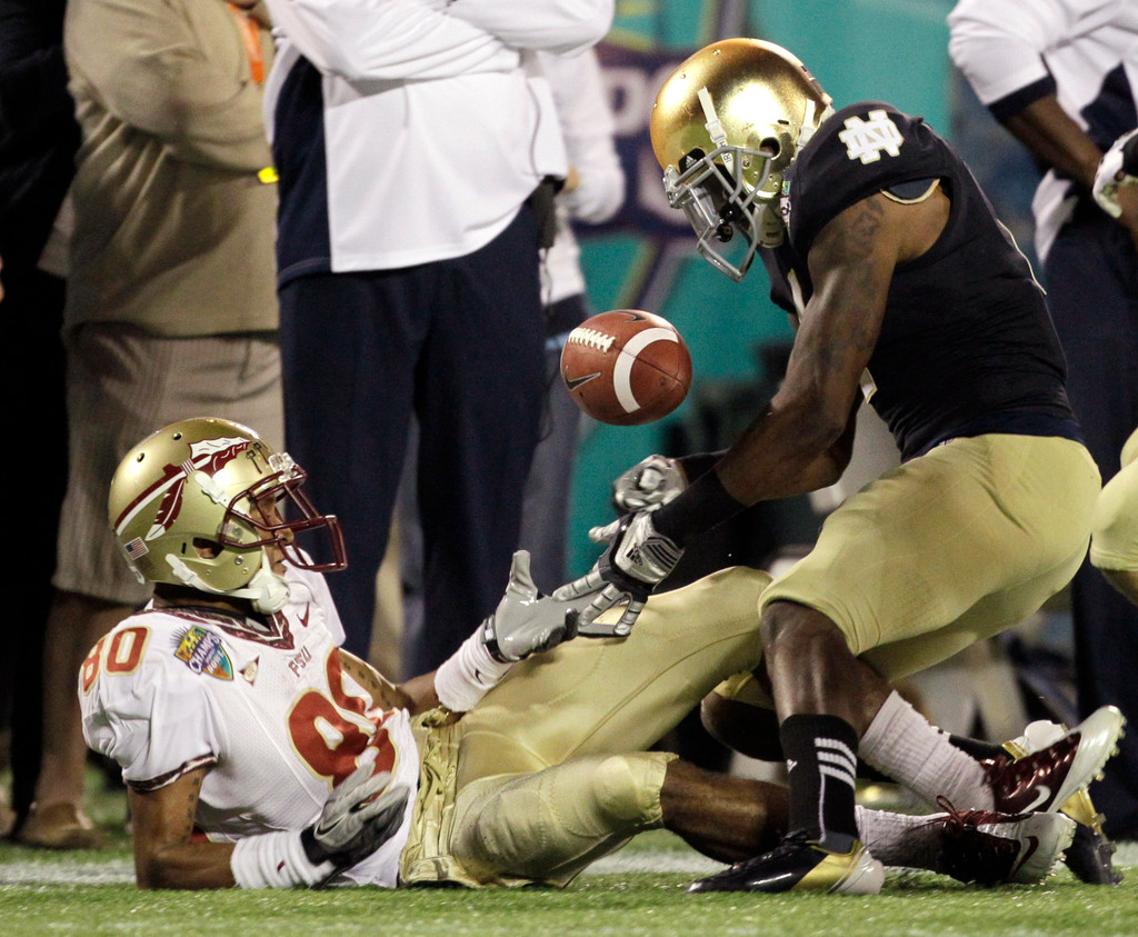 Irish Falter Down the Stretch, Lose to No. 25 FSU 18-14 (AP)