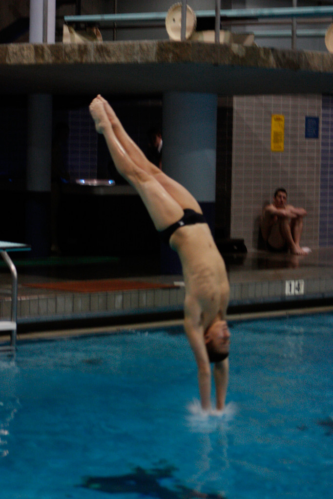 Men's and Women's Swimming & Diving Shamrock Invitational 2010
