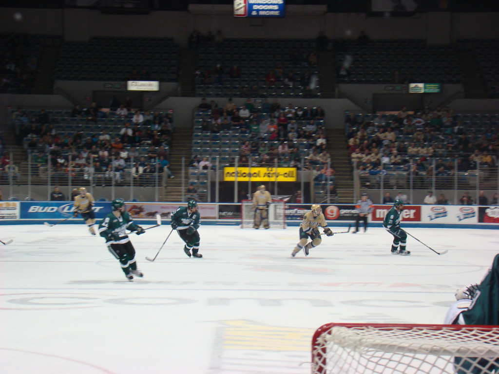 Hockey vs. MSU