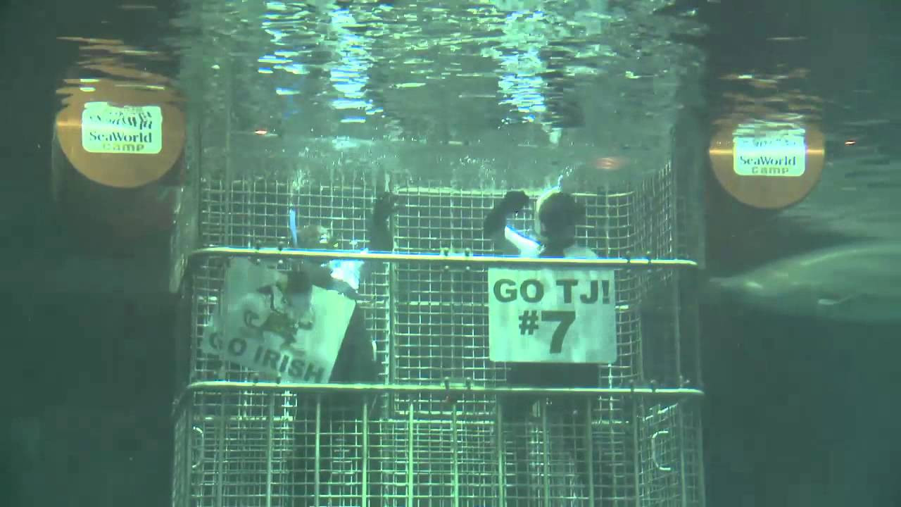 SeaWorld Supports TJ Jones And Notre Dame Football