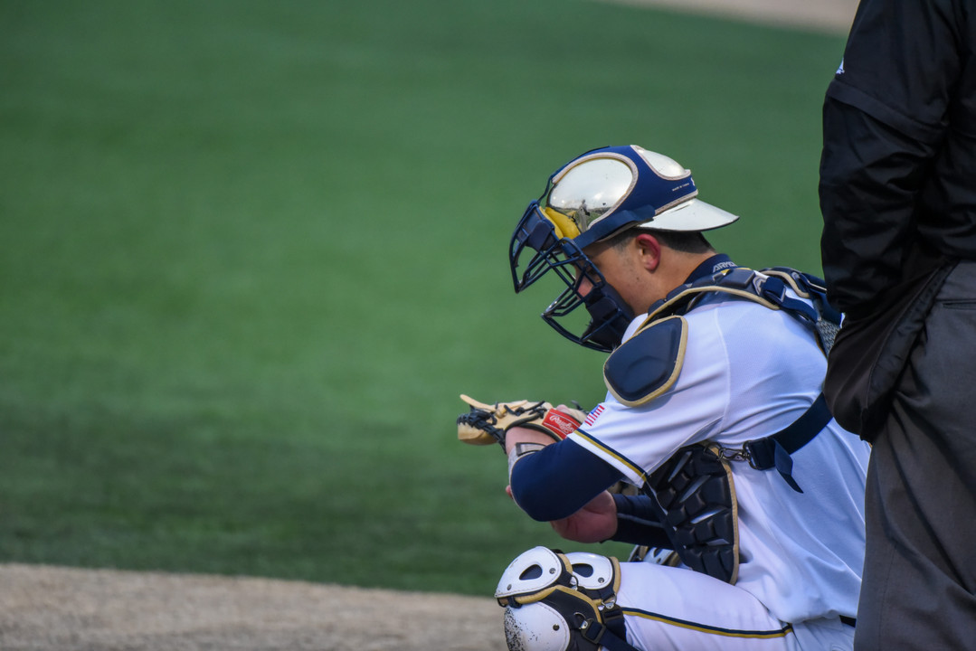Notre Dame Fighting Irish - Official Athletics Website