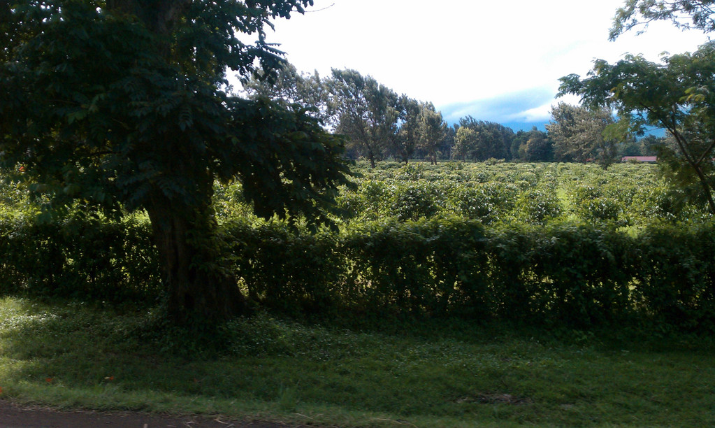 Thoughts From Tanzania: Day 2 Photos