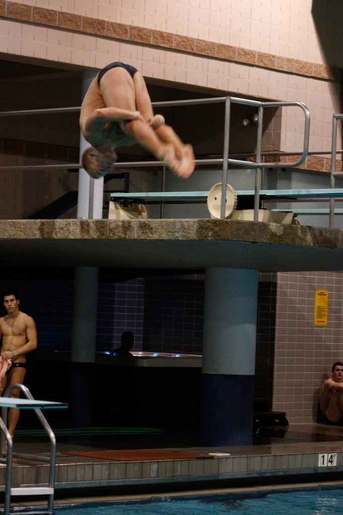 Men's and Women's Swimming & Diving Shamrock Invitational 2010