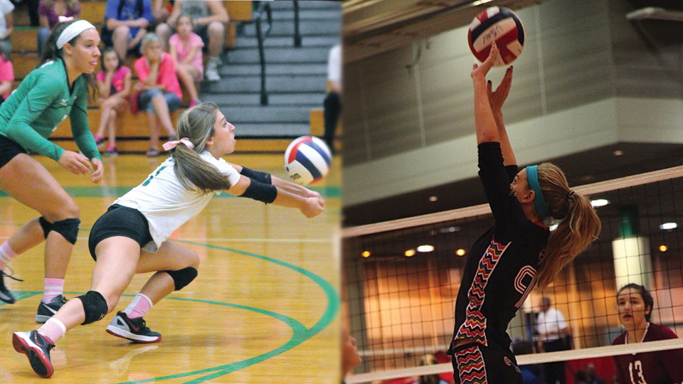 Libero Halle Truett &amp; setter Hanna Klein