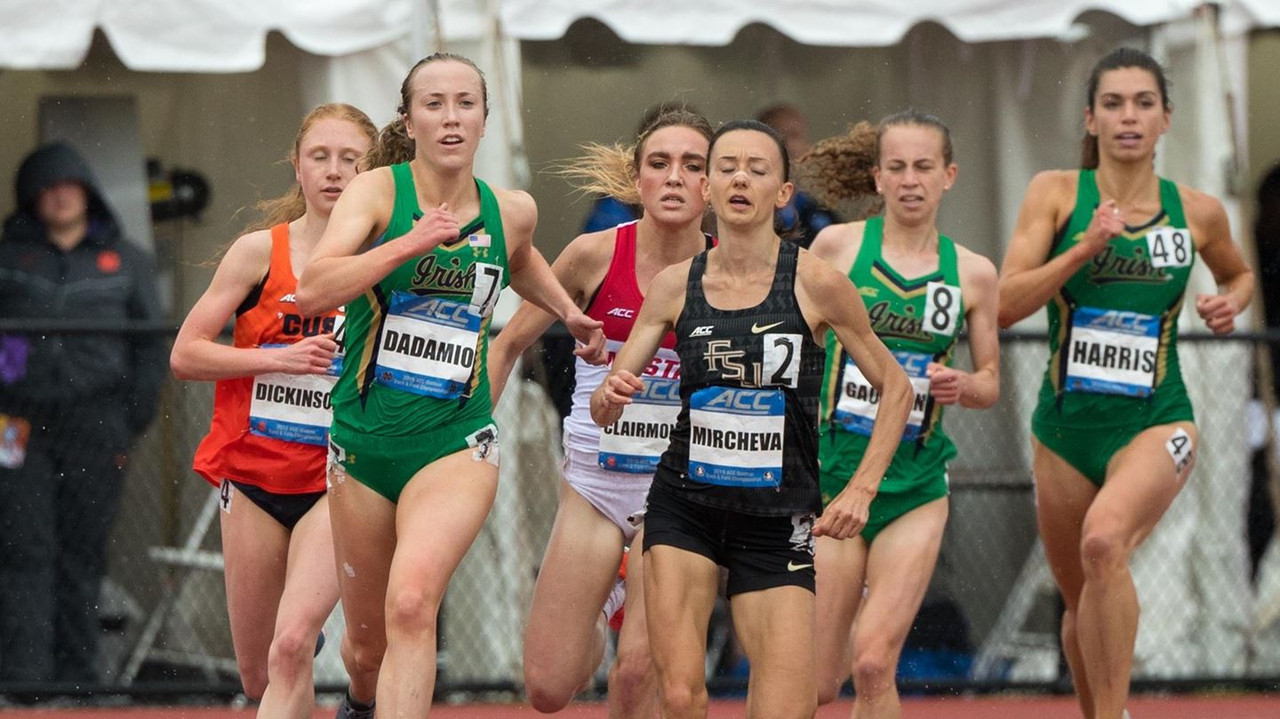 Notre Dame Fighting Irish - Official Athletics Website