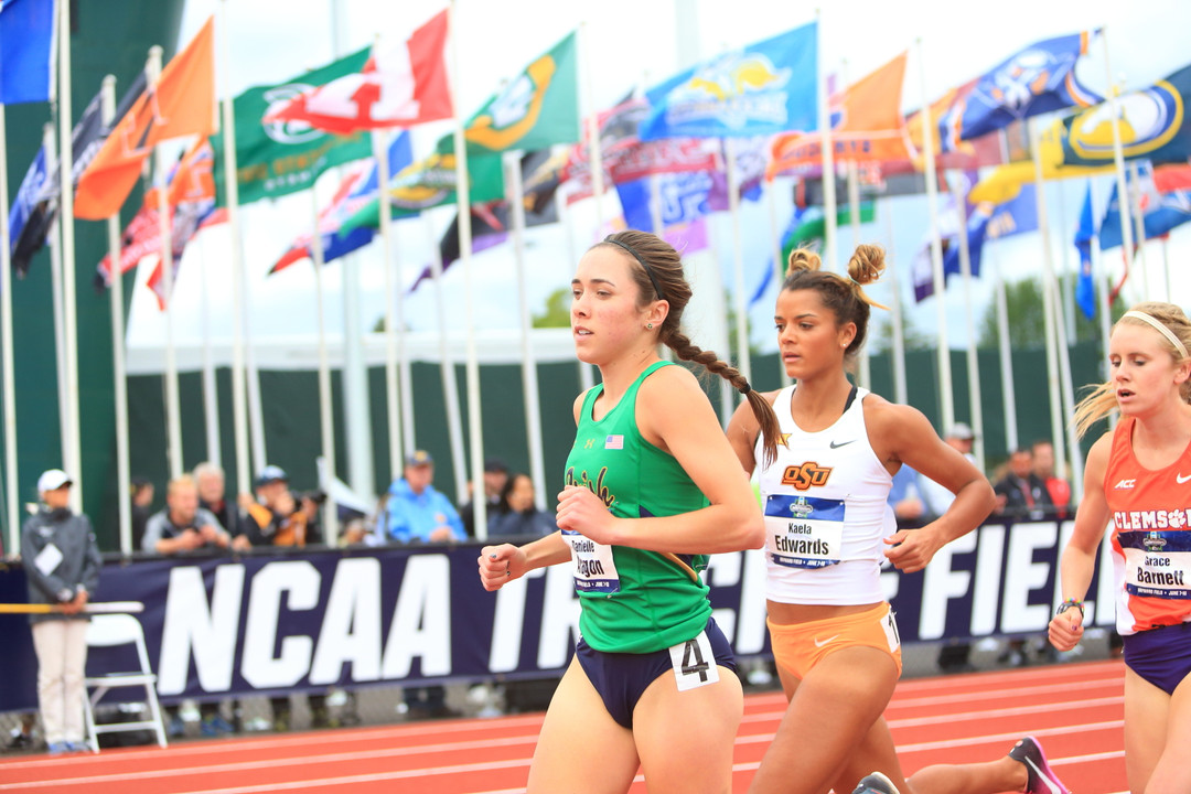 Notre Dame Fighting Irish - Official Athletics Website