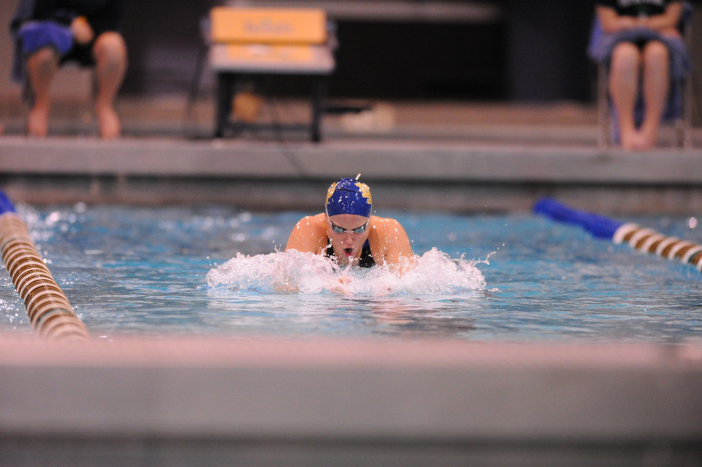 Shamrock Invitational - Jan. 31 - Feb. 1, 2014