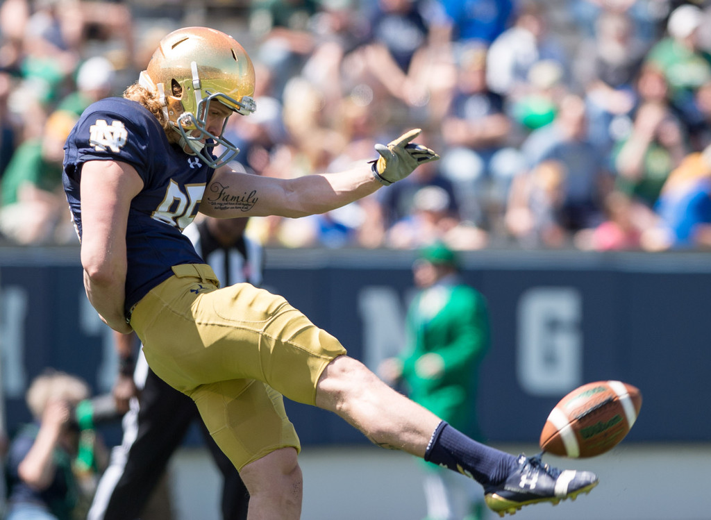 Blue vs. Gold Spring Game