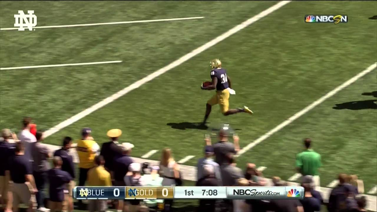 QUICK PLAYS - Dexter Williams TD