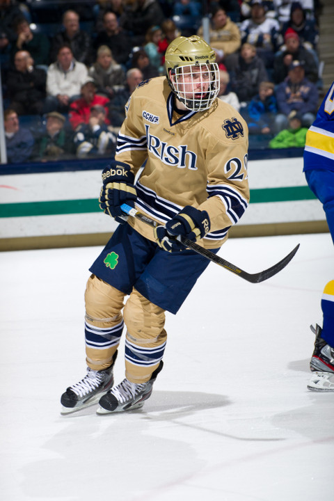 Freshman Mario Lucia scored his seventh goal of the season in the 2-1 loss to Alaska.
