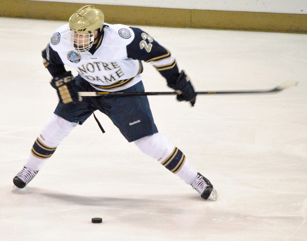 Hockey vs. Michigan