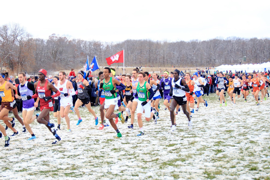 NCAA Championships