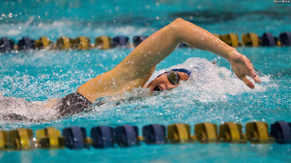 ACC Women's Swimmer of the Week Abbie Dolan